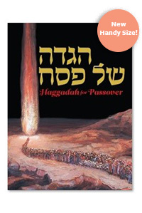 Haggadah for Passover Kleinman Edition, Compact Size 6 x 8